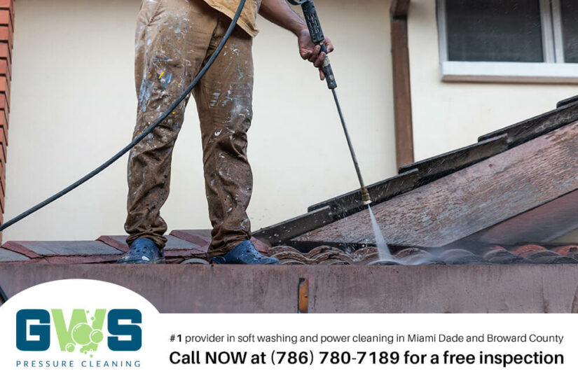 Image for Exploring the Benefits of Professional Roof Cleaning Services in Coconut Grove post